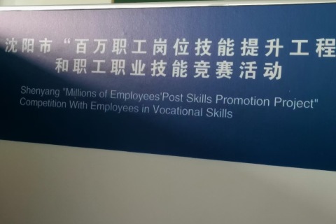 أنشطة التدريب