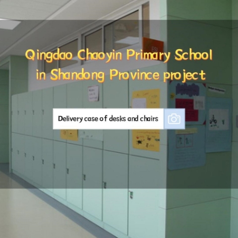 क़िंगदाओ चाओयिन प्राथमिक विद्यालय द्वारा वितरित