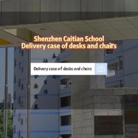 शेन्ज़ेन कैटियन स्कूल द्वारा वितरित