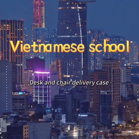 वियतनामी स्कूल परियोजना