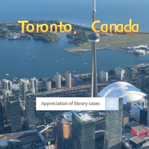 जियानशेंग ग्रुप टोरंटो लाइब्रेरी फर्नीचर केस