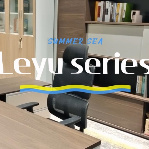 राष्ट्रपति अंतरिक्ष - लेयु श्रृंखला