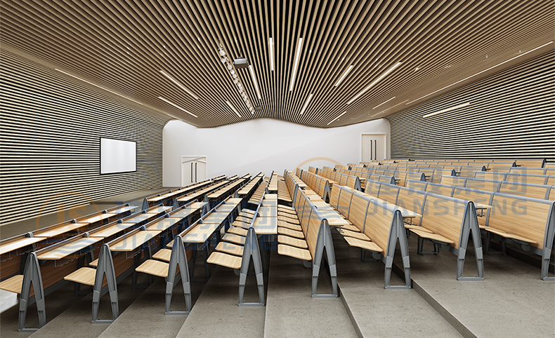 lecture theater seating