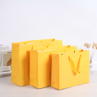 Scénarios multi-usages Achats de couleurs personnalisées Sacs d'emballage en papier