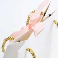Debossing bianco Logo stampato bianco Boutique Shopping JewelrySacchetto di carta