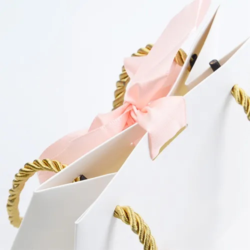 Debossing bianco Logo stampato bianco Boutique Shopping JewelrySacchetto di carta