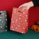 Sacs-cadeaux en papier kraft Sac d'emballage avec poignée découpée