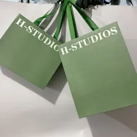 Les vêtements verts d'emballage chaussent les sacs en papier d'achats avec les poignées plates de ruban
