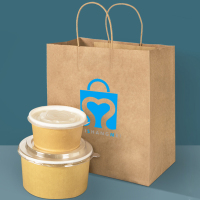 Sacs en papier d'emballage de plaine de logo personnel biodégradable de 100% avec la poignée tordue