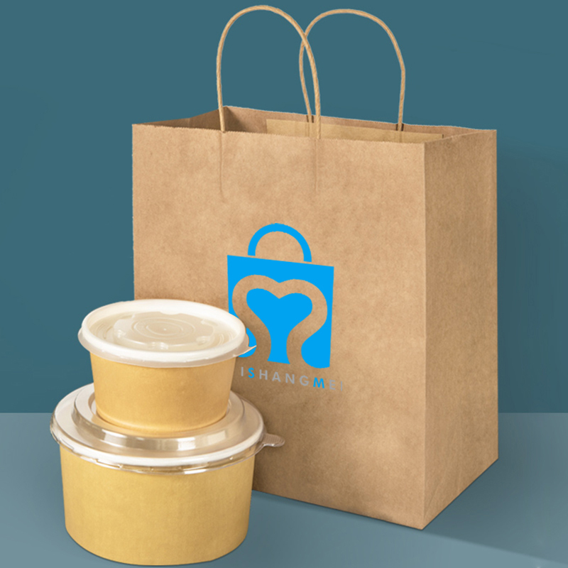 Sacs en papier d'emballage de plaine de logo personnel biodégradable de 100% avec la poignée tordue