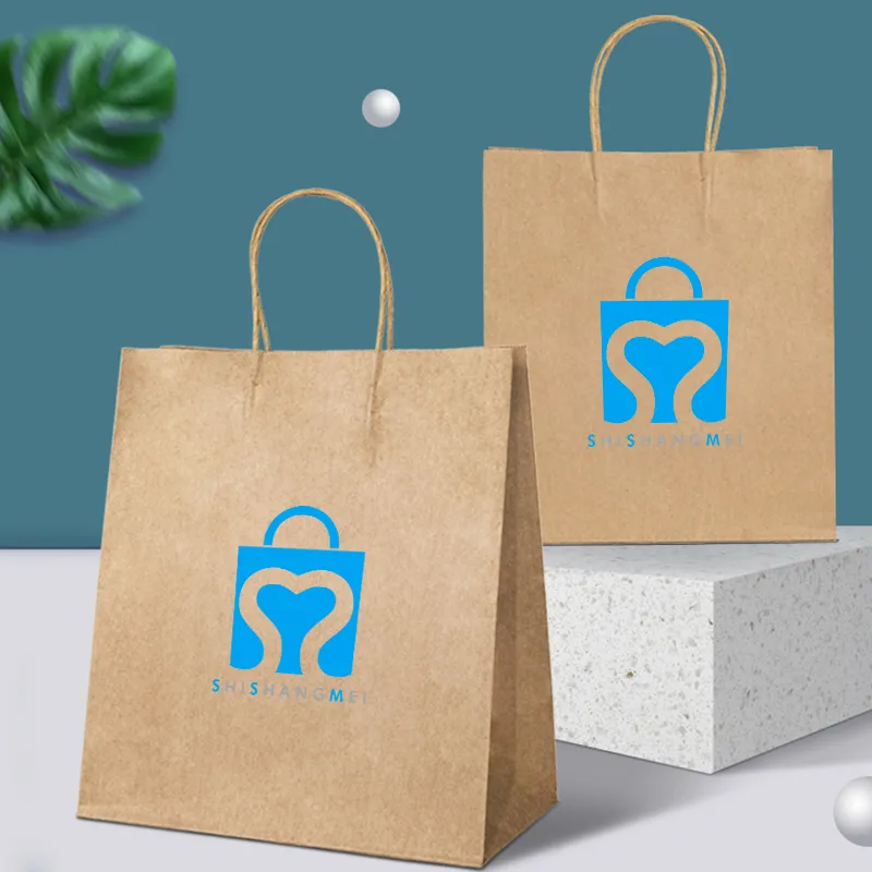 Sacs en papier d'emballage de plaine de logo personnel biodégradable de 100% avec la poignée tordue