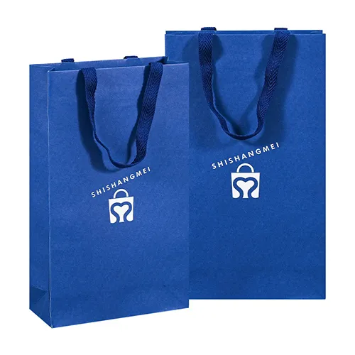Sac en papier commercial double vin personnalisé personnalisé avec poignées