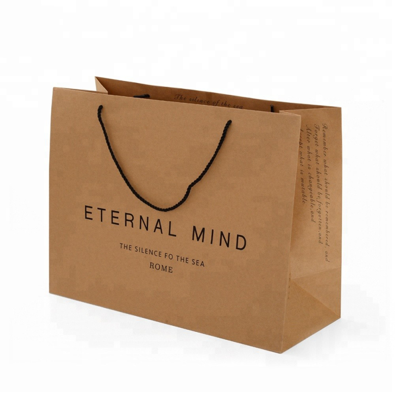 Logo de marque personnalisé Chaussures de vêtements imprimées Emballage Sac de transport en papier kraft brun avec poignées