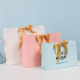 Custom size printed logo coloured craft gift shopping bags paper