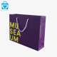 OEM Printed Gift Clothing Shoes Paper Shopping Packaging Tote Paper Bag