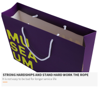 L'OEM a imprimé le sac de papier d'emballage d'achats de papier de chaussures d'habillement de cadeau