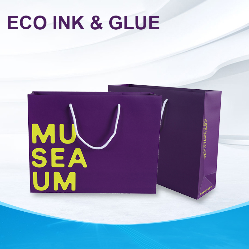 L'OEM a imprimé le sac de papier d'emballage d'achats de papier de chaussures d'habillement de cadeau