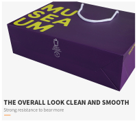 L'OEM a imprimé le sac de papier d'emballage d'achats de papier de chaussures d'habillement de cadeau