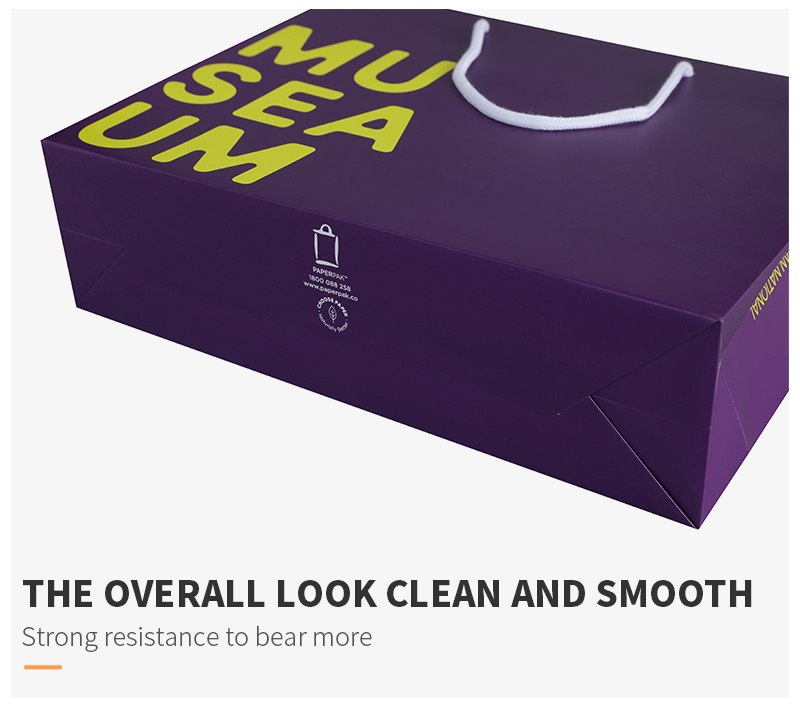 L'OEM a imprimé le sac de papier d'emballage d'achats de papier de chaussures d'habillement de cadeau