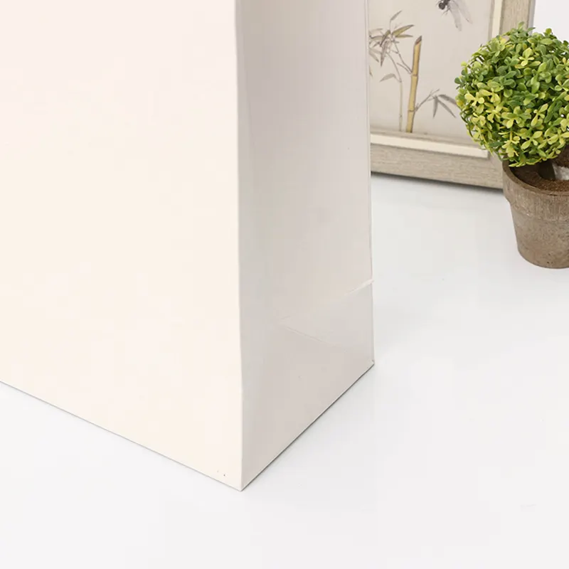 Sacs-cadeaux en papier ruban de luxe personnalisés en vrac 250gsm avec des fabricants de logo en Chine