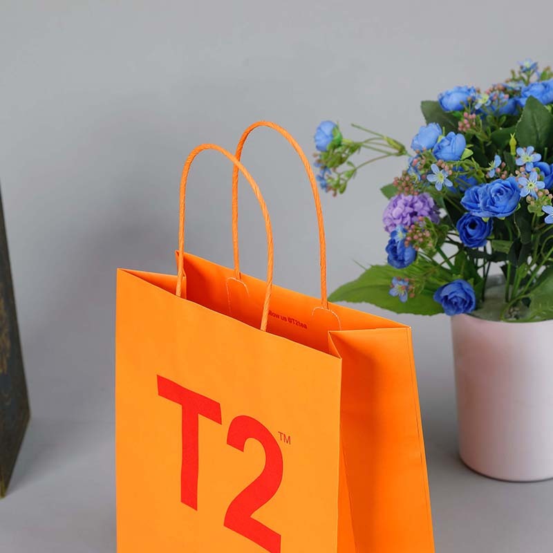 Paper bags and box for clothing jewelry cosmetic gift clothing shopping paper bags packaging with logos