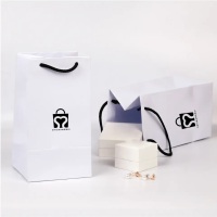 Sac de cadeau biodégradable personnalisé sac en papier de bijoux de luxe blanc à emporter personnalisé avec poignées imprimé logo de marque