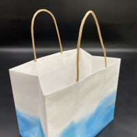 Square Craft bouquet de fleurs d'anniversaire shopping sac en papier pour cadeau avec logo personnalisé poignée emballage de sac cadeau