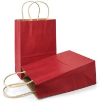 Sacs écologiques personnalisés biodégradables blanc vert uni sac en papier kraft sac d'emballage cadeau pour supplément avec logo imprimé