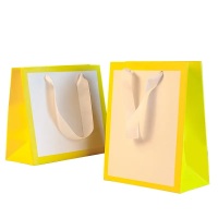 Custom small full colored white pink luxury jewelry shiny lamination packaging shopping paper bag thank you bags for boutique