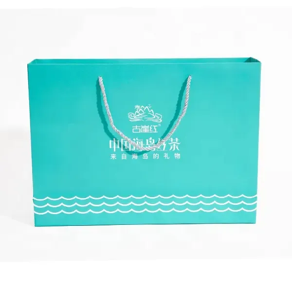 Les vêtements de chaussures de shopping de marque de papier d'art vert Premium portent un sac en papier avec poignée pour magasin de détail