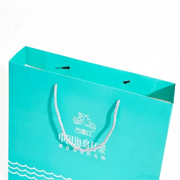 Les vêtements de chaussures de shopping de marque de papier d'art vert Premium portent un sac en papier avec poignée pour magasin de détail
