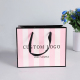 Eco recyclable disposable high quality personalised stationery hard paper gift bag custom logo clothing shoes shopping paper bag