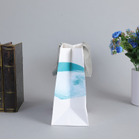 Boutique européenne colorant des sacs à provisions en papier de maquillage de toilette cosmétique avec poignée en ruban