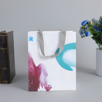 Boutique européenne colorant des sacs à provisions en papier de maquillage de toilette cosmétique avec poignée en ruban