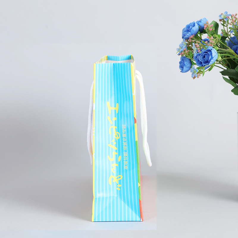 Logo imprimé biodégradable boutique européenne cadeau de détail vêtement shopping sac en papier avec poignée