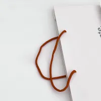 Sac à provisions en papier pour vêtements personnalisé