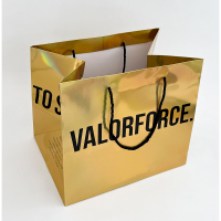 Clothes Paper Shopping Bags Manufacturer