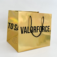 Clothes Paper Shopping Bags Manufacturer