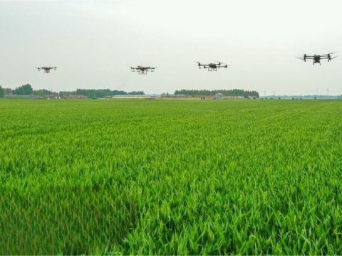 Application of agricultural drones in modern agriculture