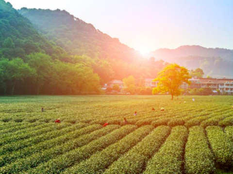 Organize employee team building activities to start an unforgettable journey