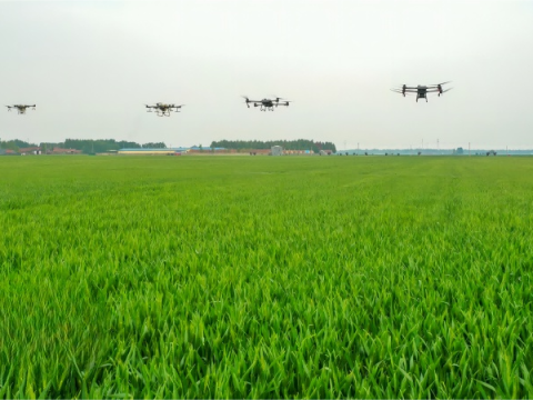 طائرات بدون طيار لحماية النباتات الزراعية تساعد في الإنتاج الزراعي