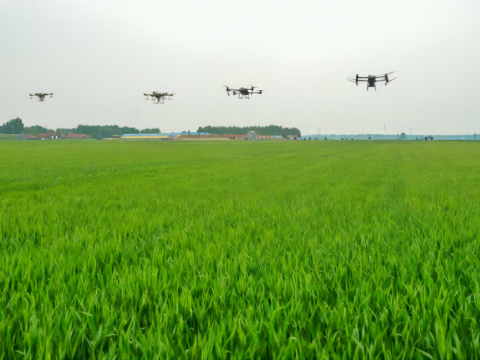 50kg oil UAV helps agricultural production