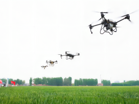 Agricultural drone plant protection helps modernize agriculture