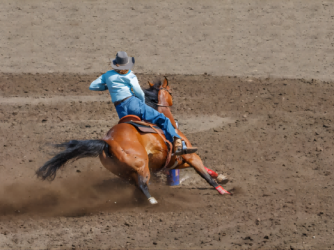 I droni offrono viste mozzafiato della Melbourne Cup