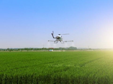 Un drone fitosanitario spruzza pesticidi