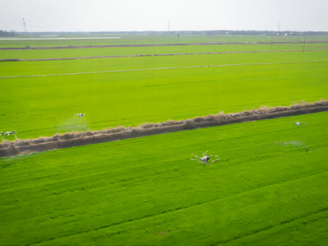 Applicazione del drone agricolo in inverno