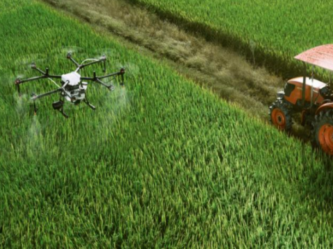 La futura stella dell’agricoltura moderna