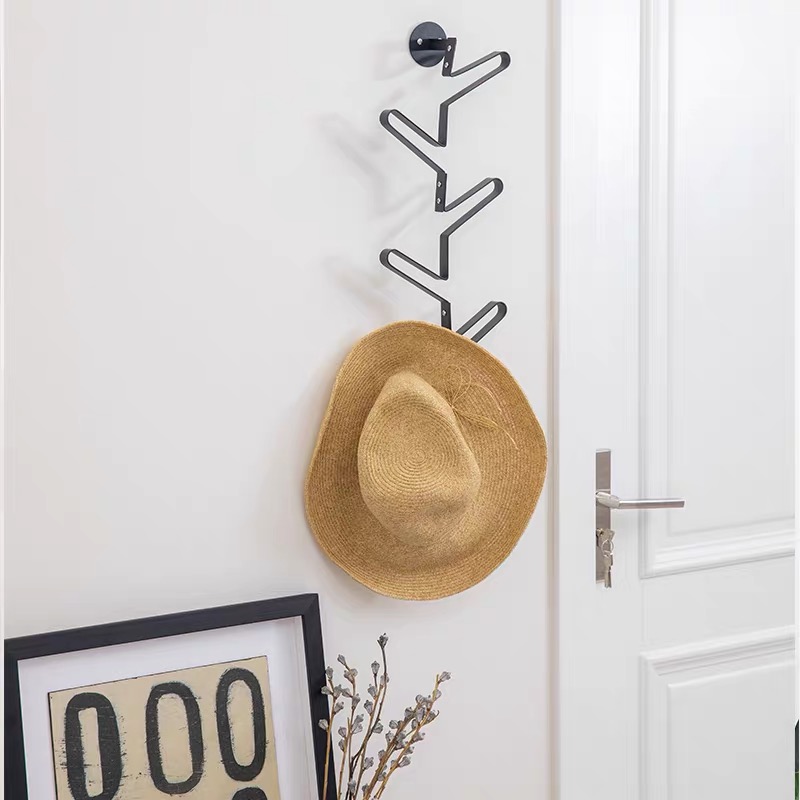 Wall Mounted Coat And Hat Hook Rack