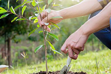 ????? ????? ?????? ???????? ???????