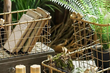 ????? ????? ??????: ??? ???